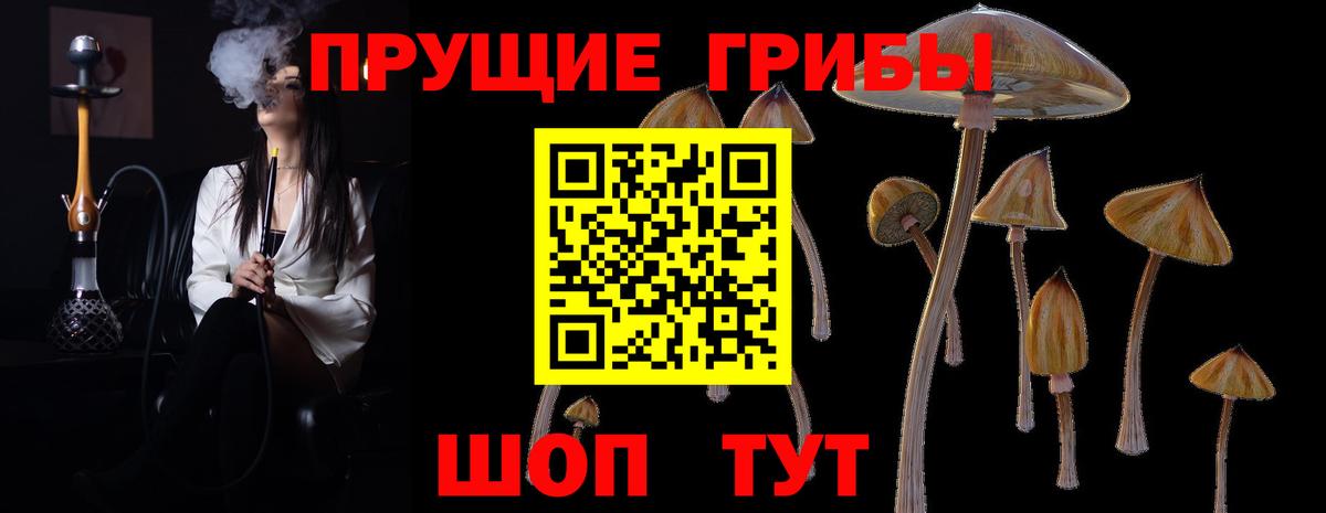Псилоцибиновые грибы Magic Shrooms  Вход с VPN  Партизанск 